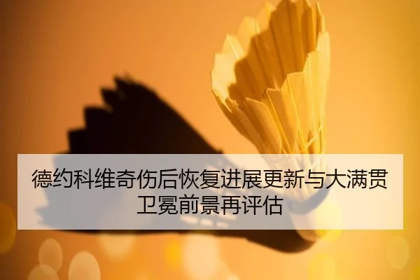 德约科维奇伤后恢复进展更新与大满贯卫冕前景再评估